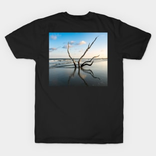 Driftwood Beach Tree T-Shirt